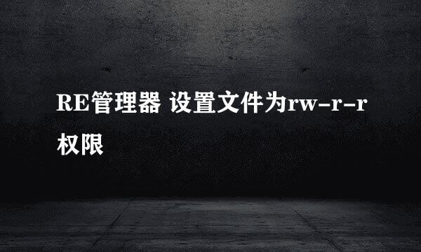 RE管理器 设置文件为rw-r-r权限