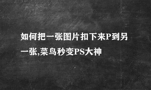 如何把一张图片扣下来P到另一张,菜鸟秒变PS大神