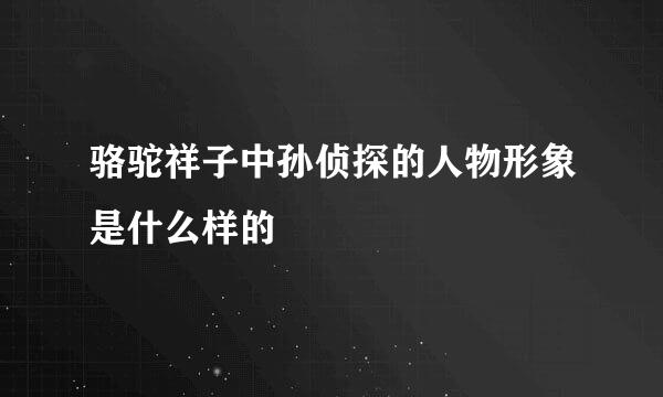 骆驼祥子中孙侦探的人物形象是什么样的