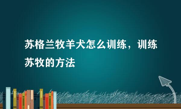 苏格兰牧羊犬怎么训练，训练苏牧的方法