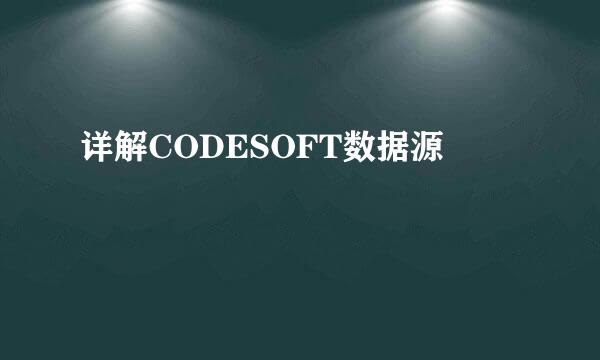 详解CODESOFT数据源