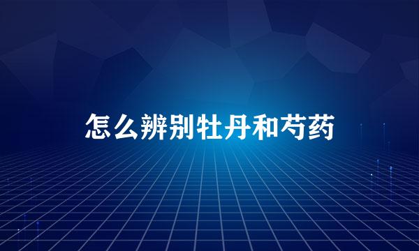 怎么辨别牡丹和芍药