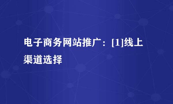 电子商务网站推广：[1]线上渠道选择