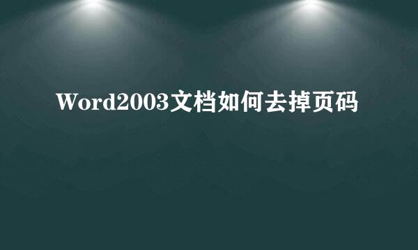 Word2003文档如何去掉页码