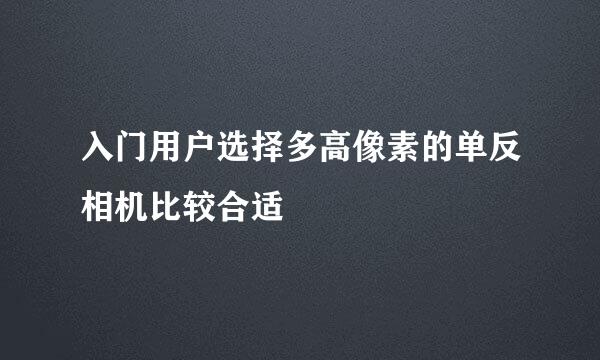 入门用户选择多高像素的单反相机比较合适