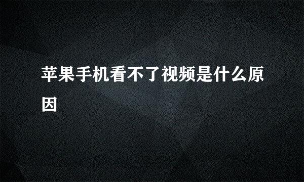 苹果手机看不了视频是什么原因