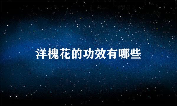 洋槐花的功效有哪些