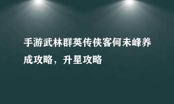 手游武林群英传侠客何未峰养成攻略，升星攻略