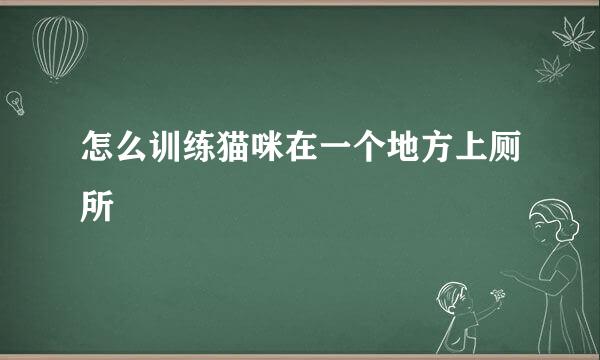 怎么训练猫咪在一个地方上厕所