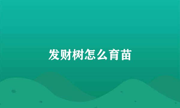 发财树怎么育苗