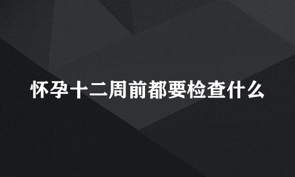 怀孕十二周前都要检查什么