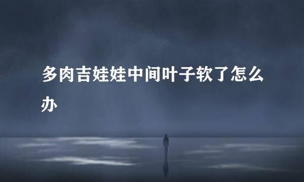 多肉吉娃娃中间叶子软了怎么办