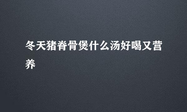 冬天猪脊骨煲什么汤好喝又营养