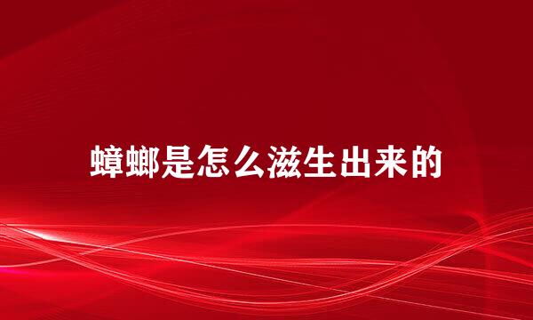 蟑螂是怎么滋生出来的
