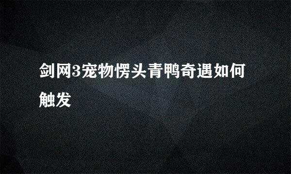 剑网3宠物愣头青鸭奇遇如何触发