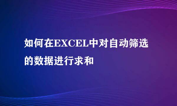 如何在EXCEL中对自动筛选的数据进行求和
