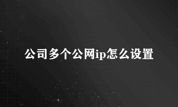 公司多个公网ip怎么设置