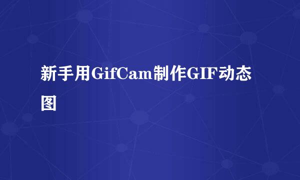 新手用GifCam制作GIF动态图