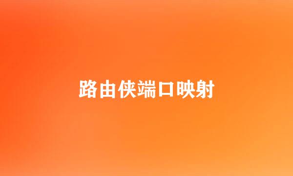 路由侠端口映射