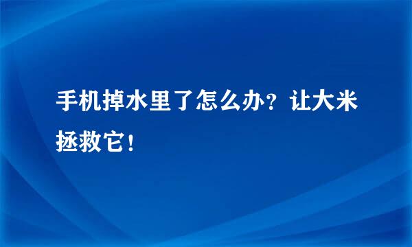 手机掉水里了怎么办？让大米拯救它！