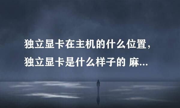 独立显卡在主机的什么位置，独立显卡是什么样子的 麻烦带图片下