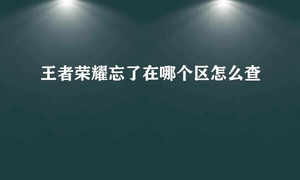 王者荣耀忘了在哪个区怎么查