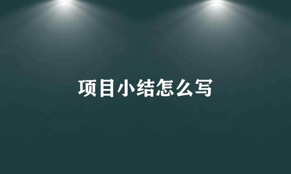 项目小结怎么写