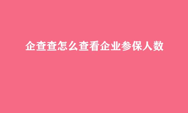 企查查怎么查看企业参保人数