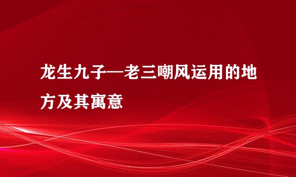 龙生九子—老三嘲风运用的地方及其寓意