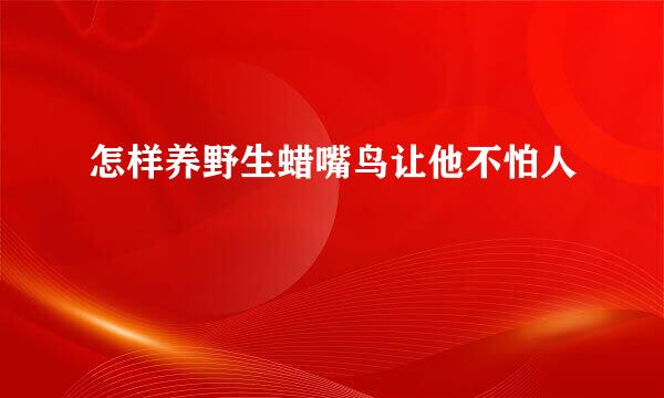 怎样养野生蜡嘴鸟让他不怕人
