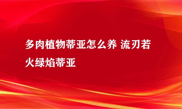 多肉植物蒂亚怎么养 流刃若火绿焰蒂亚