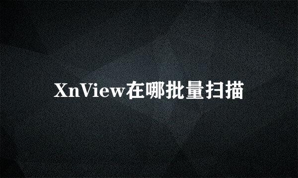 XnView在哪批量扫描