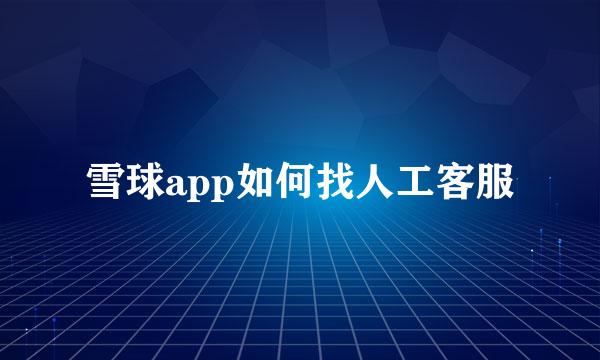 雪球app如何找人工客服