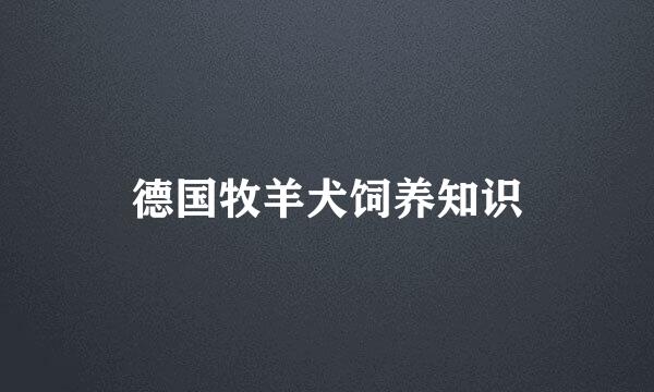 德国牧羊犬饲养知识