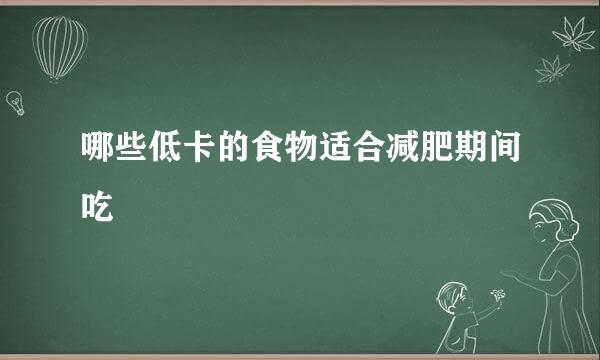哪些低卡的食物适合减肥期间吃