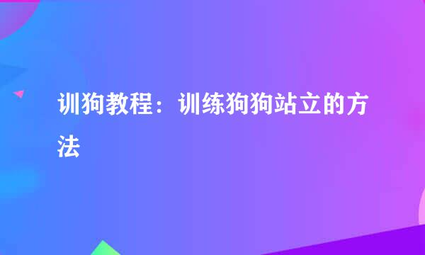 训狗教程：训练狗狗站立的方法