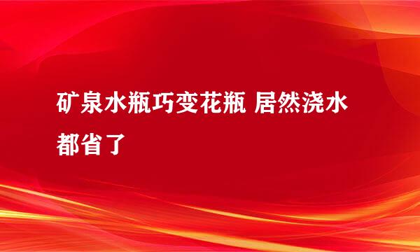 矿泉水瓶巧变花瓶 居然浇水都省了