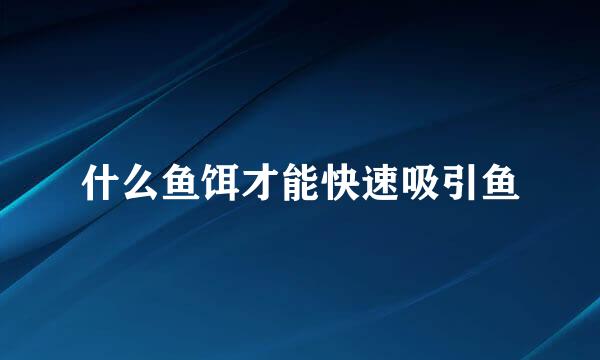 什么鱼饵才能快速吸引鱼