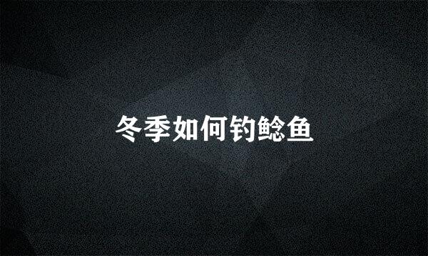 冬季如何钓鲶鱼