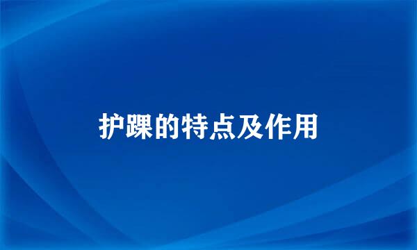 护踝的特点及作用