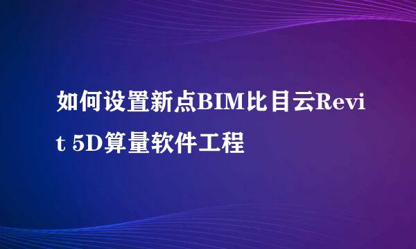 如何设置新点BIM比目云Revit 5D算量软件工程