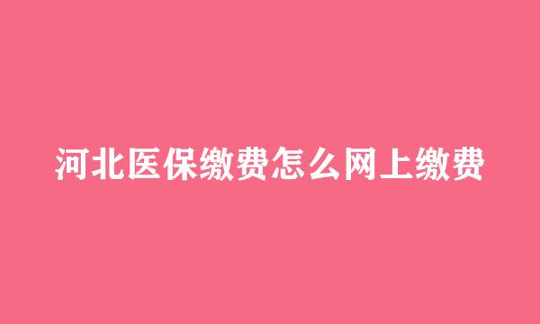 河北医保缴费怎么网上缴费