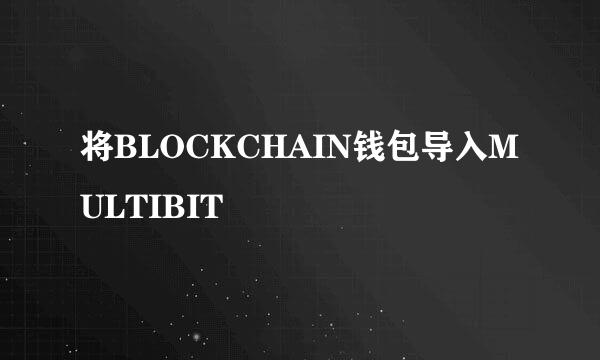 将BLOCKCHAIN钱包导入MULTIBIT