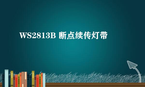WS2813B 断点续传灯带
