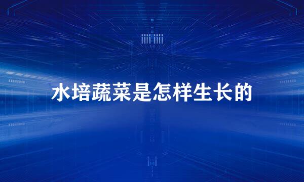 水培蔬菜是怎样生长的