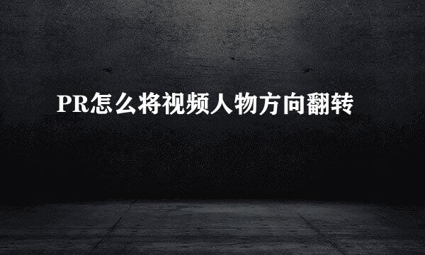 PR怎么将视频人物方向翻转
