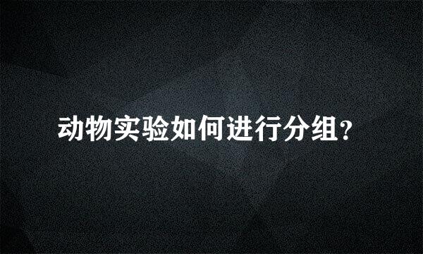 动物实验如何进行分组？