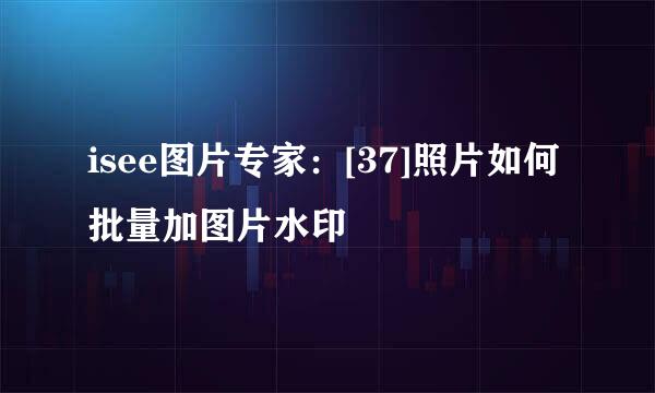 isee图片专家：[37]照片如何批量加图片水印