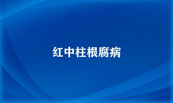 红中柱根腐病