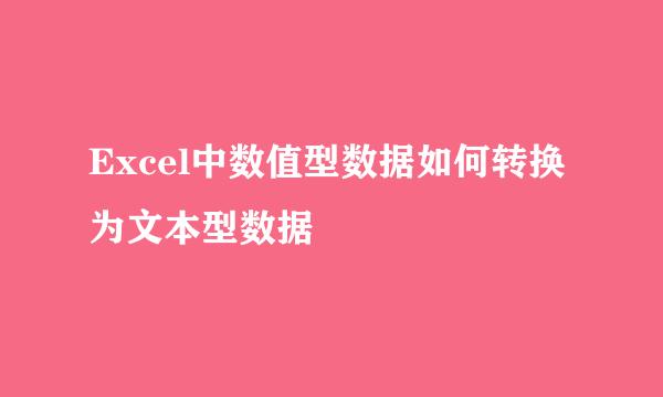 Excel中数值型数据如何转换为文本型数据